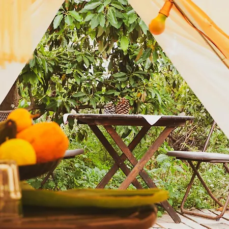 럭셔리텐트 Yurt In Avocado Garden 기마르