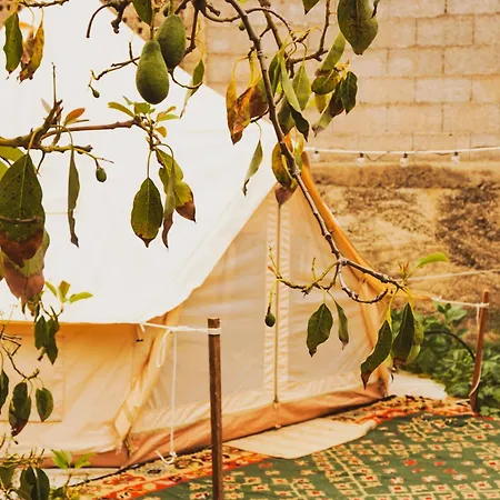 Luxury tent Yurt In Avocado Garden *