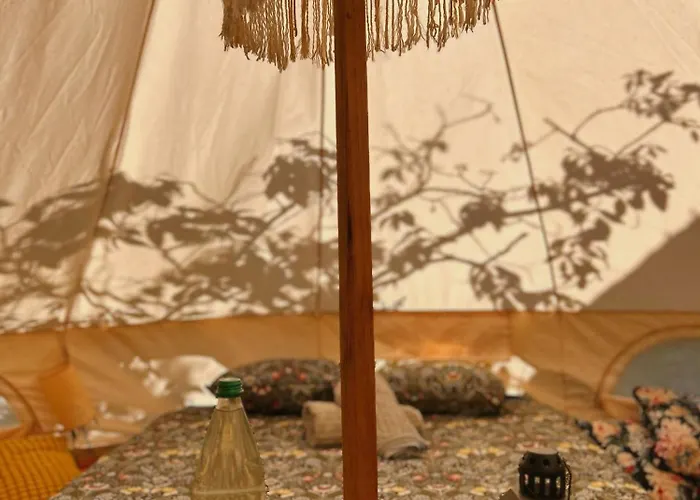 ラグジュアリーテント Yurt In Avocado Garden *