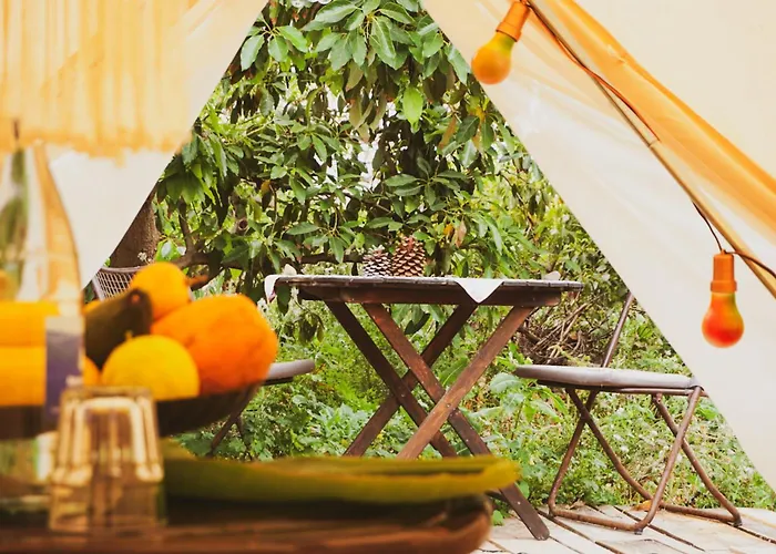 럭셔리텐트 Yurt In Avocado Garden 기마르