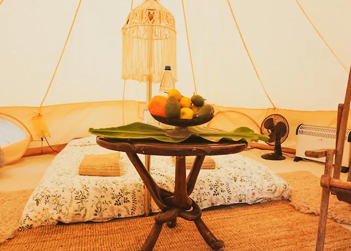 Yurt In Avocado Garden 기마르