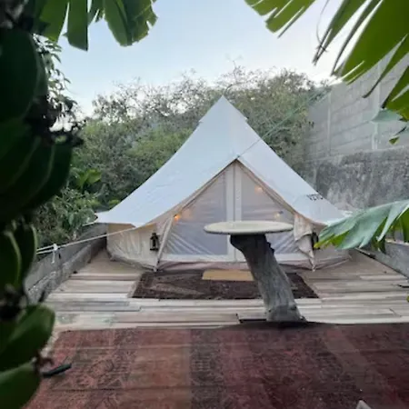 Tente de luxe Yurt In Avocado Garden Güimar