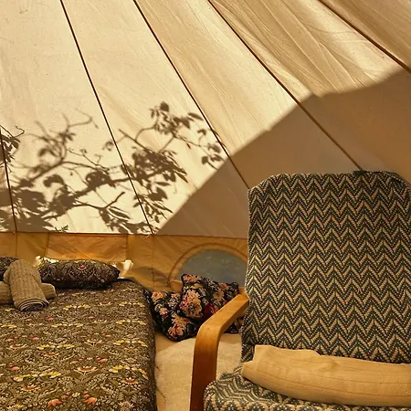 Yurt In Avocado Garden Tente de luxe Güimar