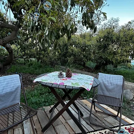 Tente de luxe Yurt In Avocado Garden *
