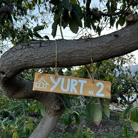 Yurt In Avocado Garden * Güímar