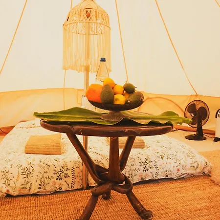 Yurt In Avocado Garden Güímar