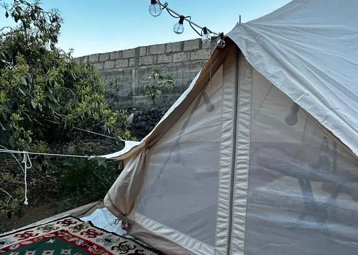 Yurt In Avocado Garden *