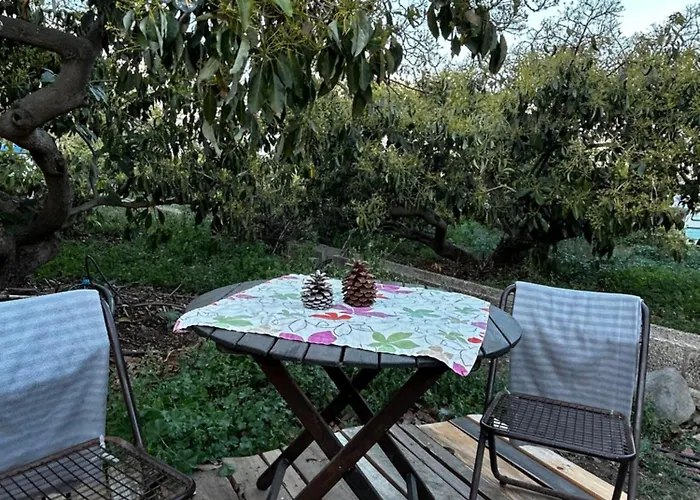 Luxe tent Yurt In Avocado Garden *