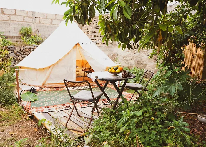 Yurt In Avocado Garden