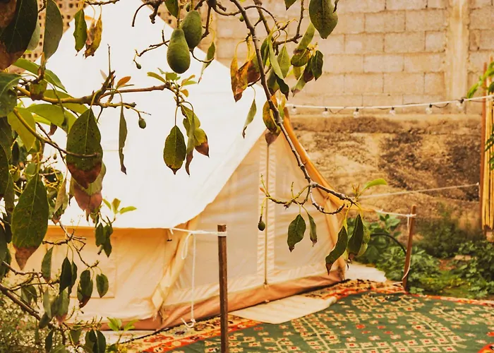 Luxe tent Yurt In Avocado Garden *